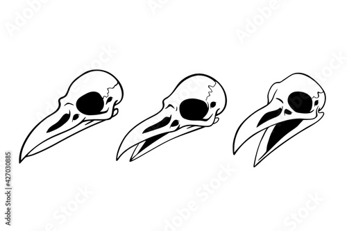 set of three simple bird skulls