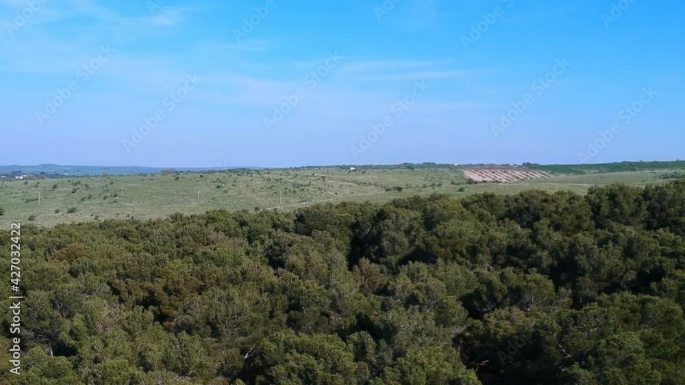 Aerial view with the drone of the forest of Bitonto, Apulia Aerial view with the drone of the forest of Bitonto, Apulia