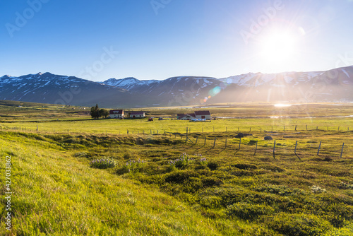 Farm in a grassy field in a rural landscape with snow-capped mountains in background in Iceland on a sunny summer day