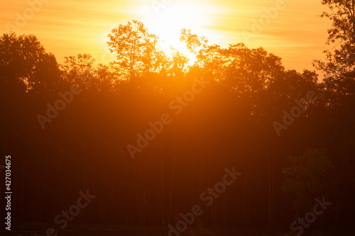 The early morning sun is shining beautifully.