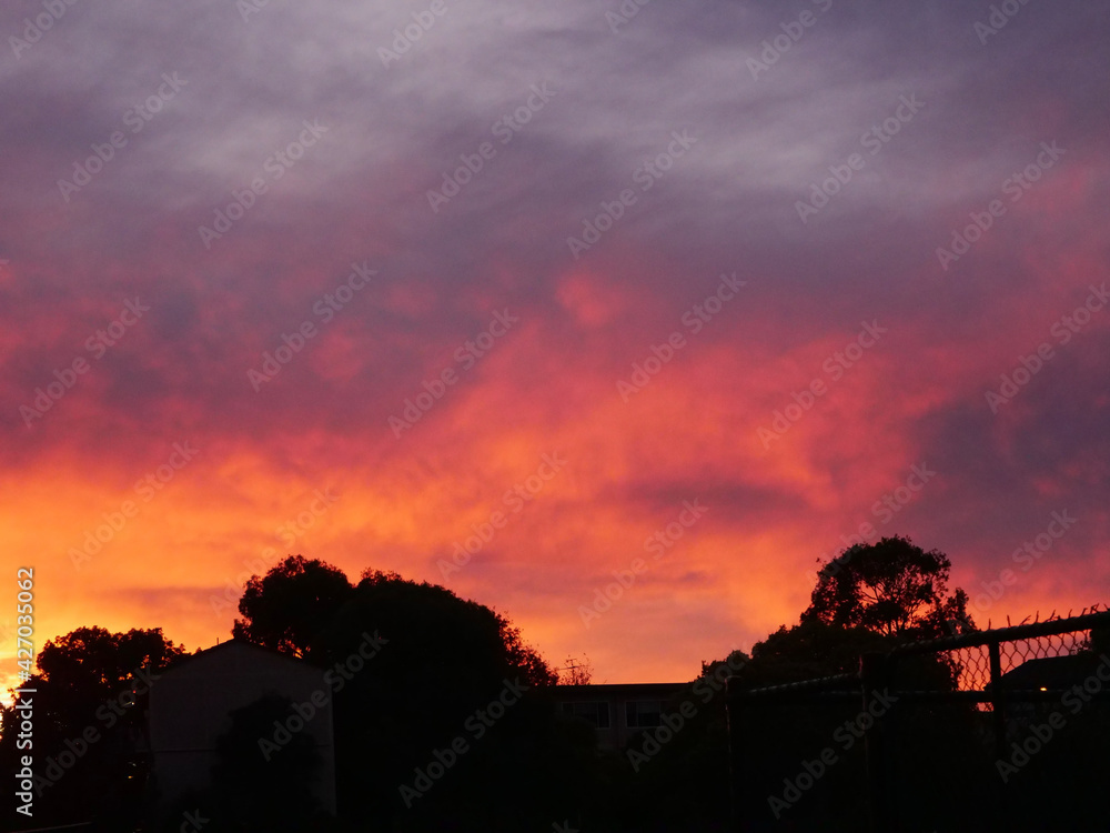 Fototapeta premium sunset in the city