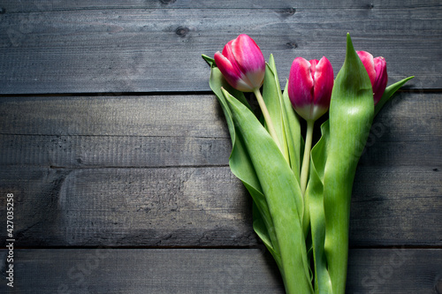 pink tulips on wooden background