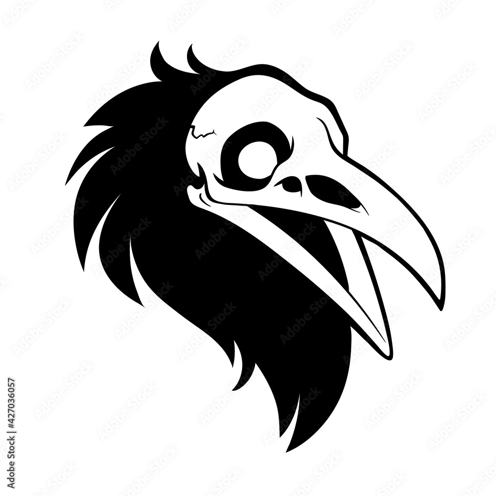 Obraz premium dead bird skull with feathers