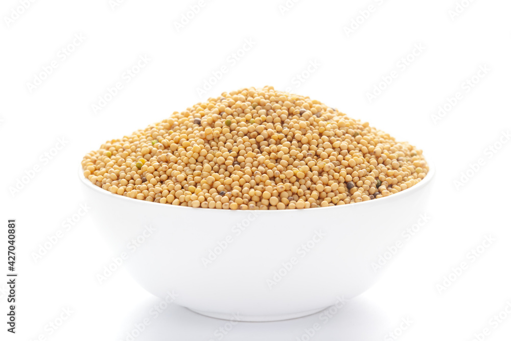 close-up of Organic Mustard seed (Sinapis alba) on a ceramic white bowl. Pile of Indian Aromatic Spice. close-up of Organic Mustard seed (Sinapis alba) on a ceramic white bowl. Pile of Indian Aromatic Spice.
