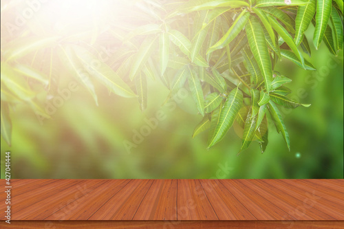 Nature mango leaf against sunlight on a wooden table