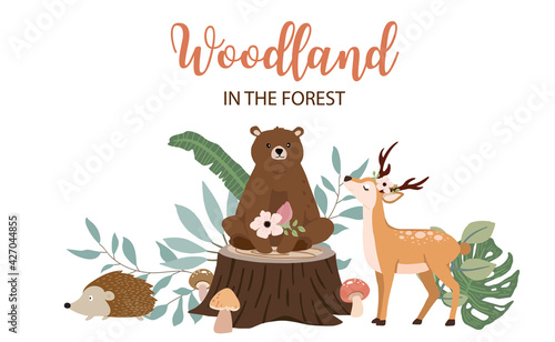 Collection of woodland background set with leaf,flower,animal.Editable vector illustration for website, invitation,postcard and poster