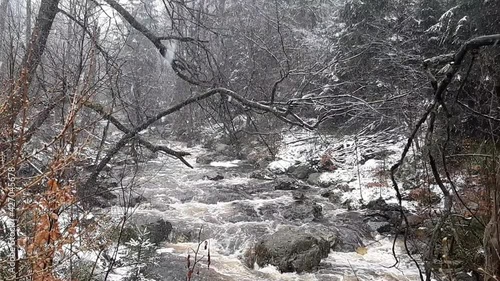 Wild forest river during snowfall in winter. Hoegne in Ardennes, Belgium photo