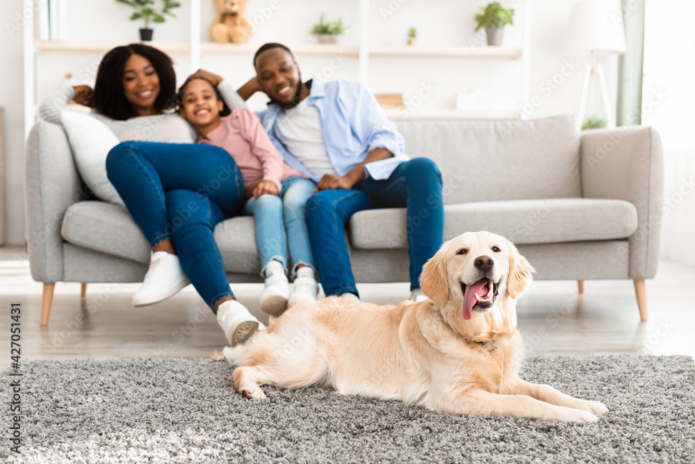 Happy black family sitting in living room with dog Happy black family sitting in living room with dog