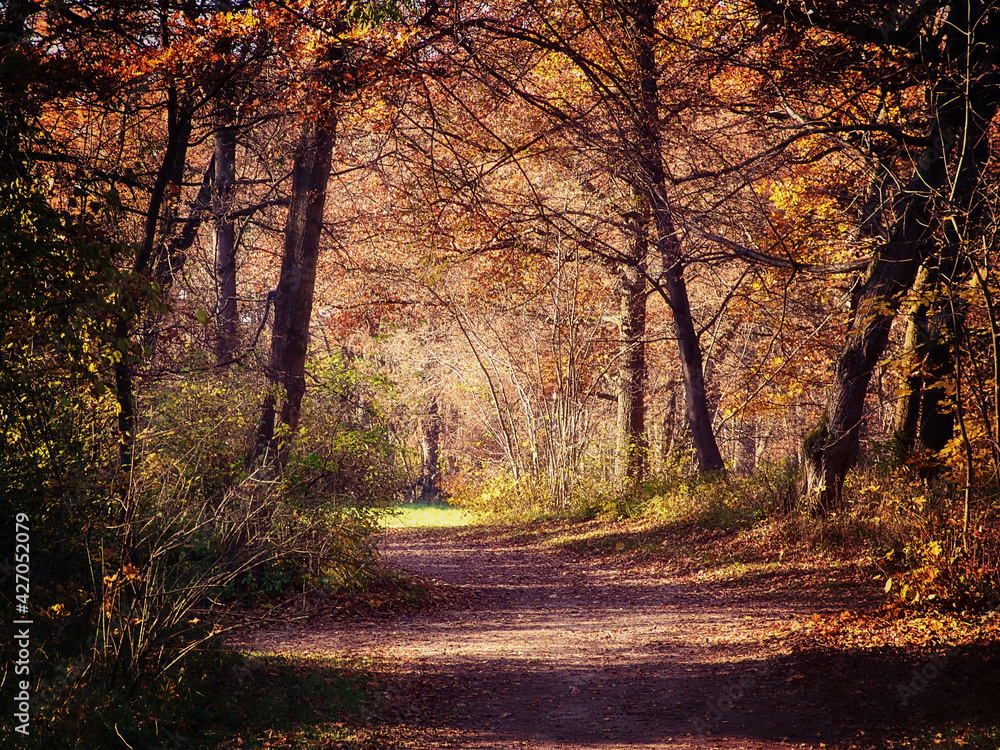 Autumnal walk in the Nymphenburg castle park, Munich, residence of the Bavarian kings and touristic landmark of the city