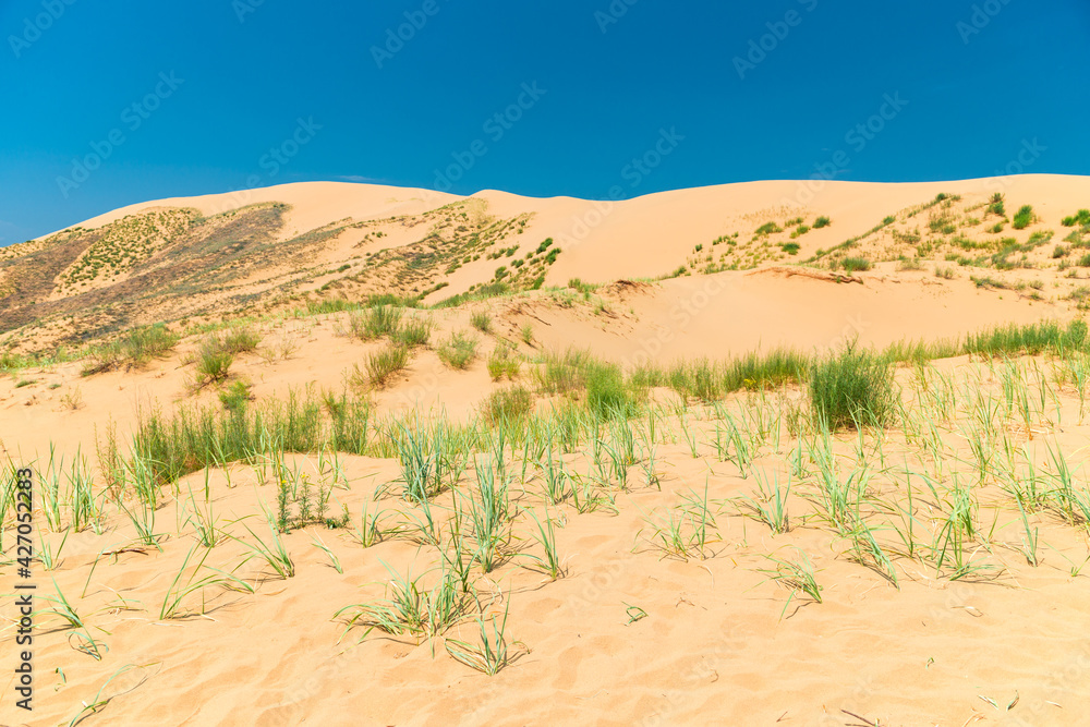 Sand dune dune Sarikum in Dagestan, Russia