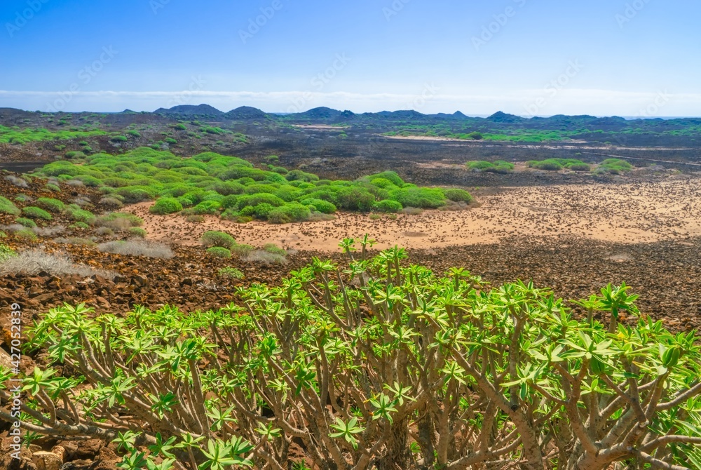 unberührte Vulkanlandschaft auf  der Insel Los Lobos - Fuerteventura