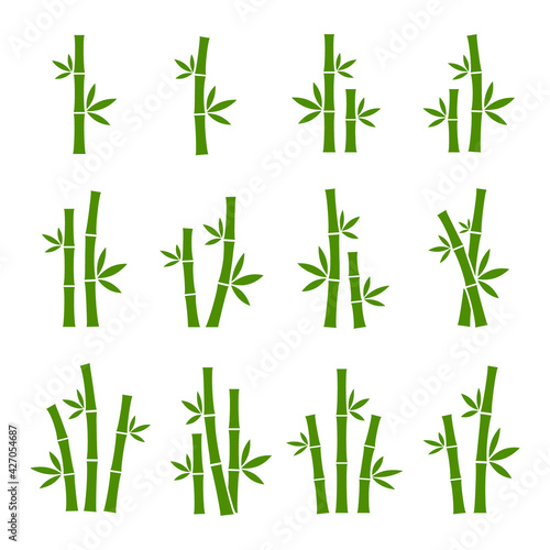 Green bamboo set vector images