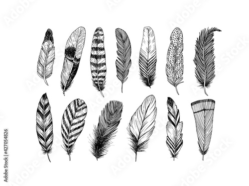 Hand drawn black fluffy feathers. Vector black and white ink sketch illustration. Ethnic boho style hand drawing. Rustic feathers collection. Realistic graphic style with scratched lines. © Анастасия Гевко