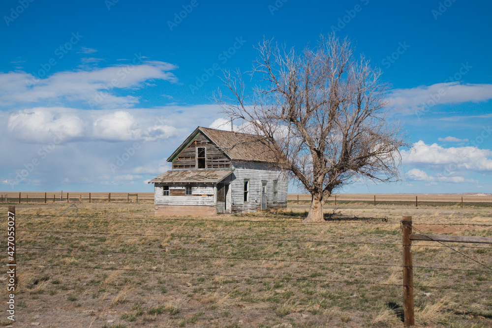 Old Farm House and Tree Old Farm House and Tree