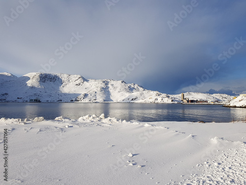 Fotografi Snowy mountain and blue fjord lanscape in the arctic circle