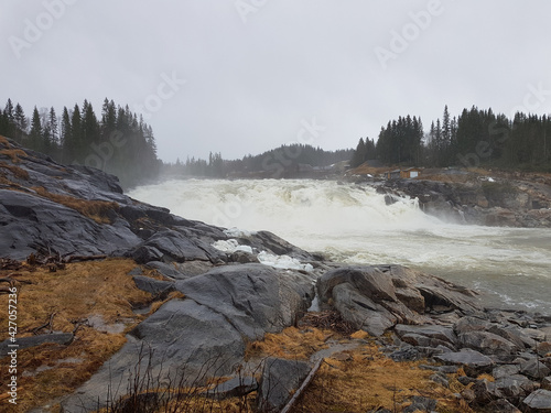 The mighty Laksforsen salmon waterfall in Grane Municipality, northern Norway photo