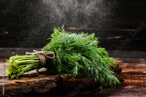 Tela A bunch of fresh raw green dill on wooden background with water drops