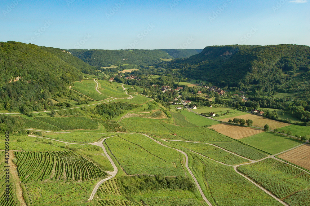Vineyards in the north of France