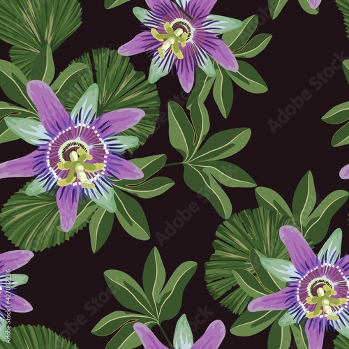 Seamless tropical palm leaves, Passiflora. Jungle leaves vector floral pattern background.