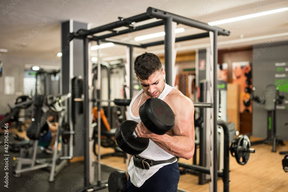 Man training biceps in gym with big dumbbell Man training biceps in gym with big dumbbell