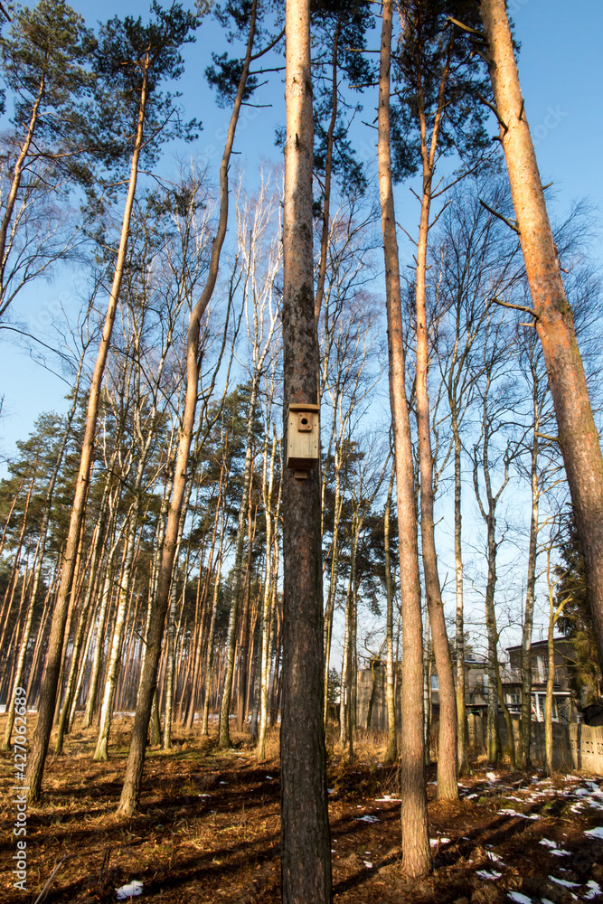 nesting box for birds nesting box for birds