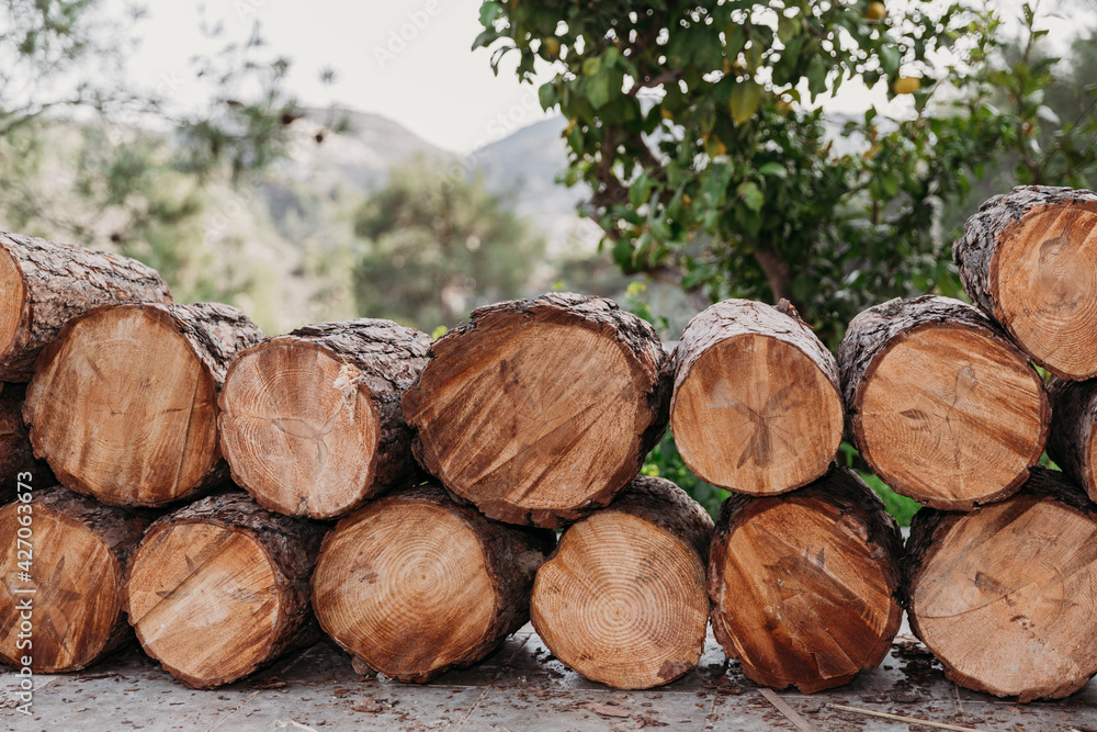 Wood logs storage in the open air. Many sections of logs Firewood stacked in the open air. Wood log pile. Particular of lumber ready to be burned. Wood background. Wood logs storage in the open air. Many sections of logs Firewood stacked in the open air. Wood log pile. Particular of lumber ready to be burned. Wood background.