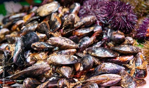 Fototapeta Naklejka Na Ścianę i Meble -  Assorted fresh raw seafood. Fresh mussels and sea urchins lie on ice at the fish market