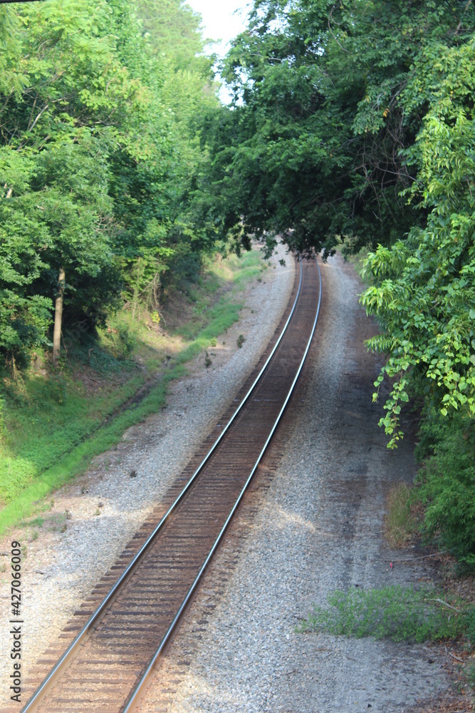 Fototapeta premium Train Tracks 