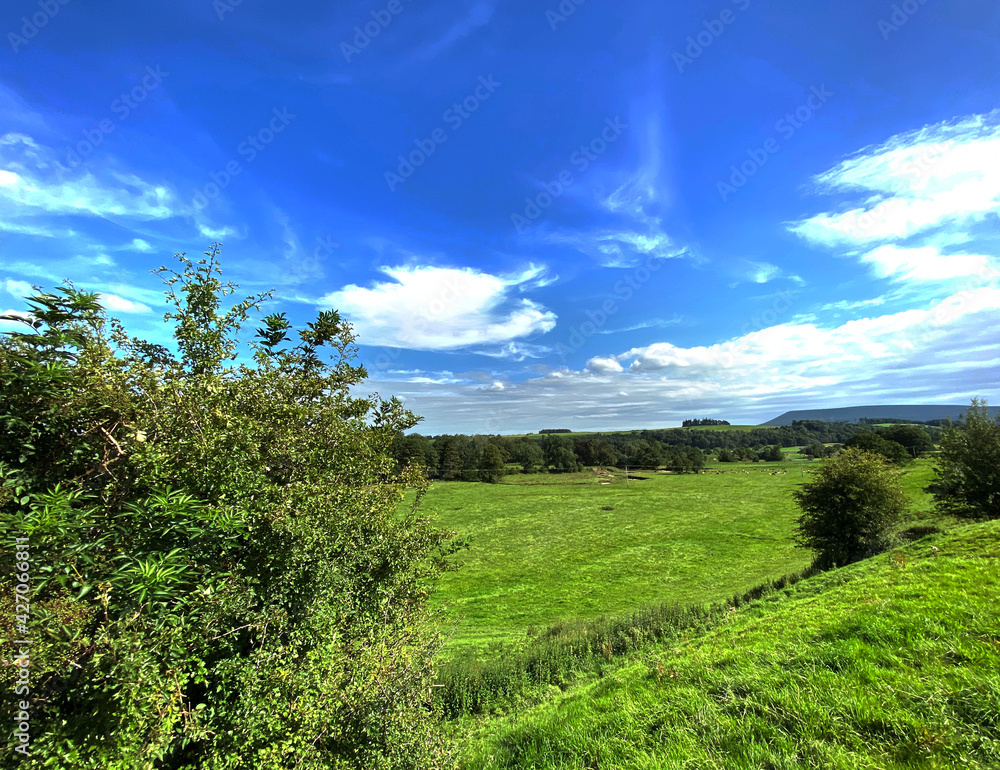 Country landscape, with fields, trees, and the Pendle hills, on a hot summers day in, Bolton by Bowland, Clitheroe, UK Country landscape, with fields, trees, and the Pendle hills, on a hot summers day in, Bolton by Bowland, Clitheroe, UK