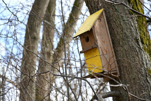 Close up on a small birdhouse made out of planks and boards and with some elements painted yellow hanging from a tall coniferous or deciduous tree seen in a public park on a sunny summer day in Poland