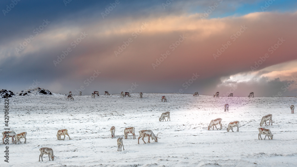 Iceland Iceland