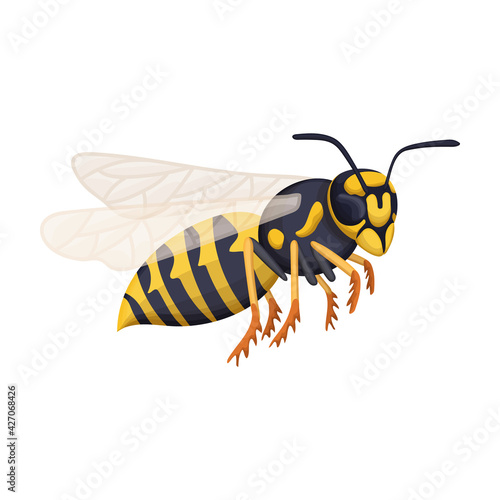 Wasp vector cartoon icon. Vector illustration insect wasp on white background. Isolated cartoon illustration icon of insect hornet.