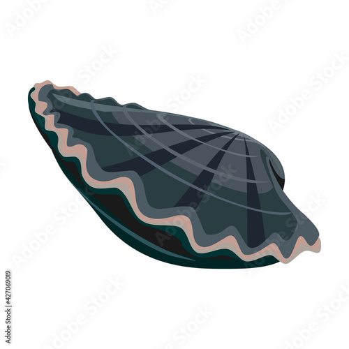 Shell sea vector cartoon icon. Vector illustration sea shell on white background. Isolated cartoon illustration icon of seashell.