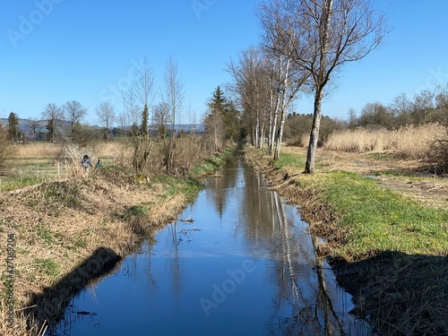 Natural protection area Wauwilermoos (Naturschutzgebiet Wauwilermoos) with swampy lowland pastures and meadows, Wauwil - Canton of Lucerne, Switzerland (Schweiz) photo