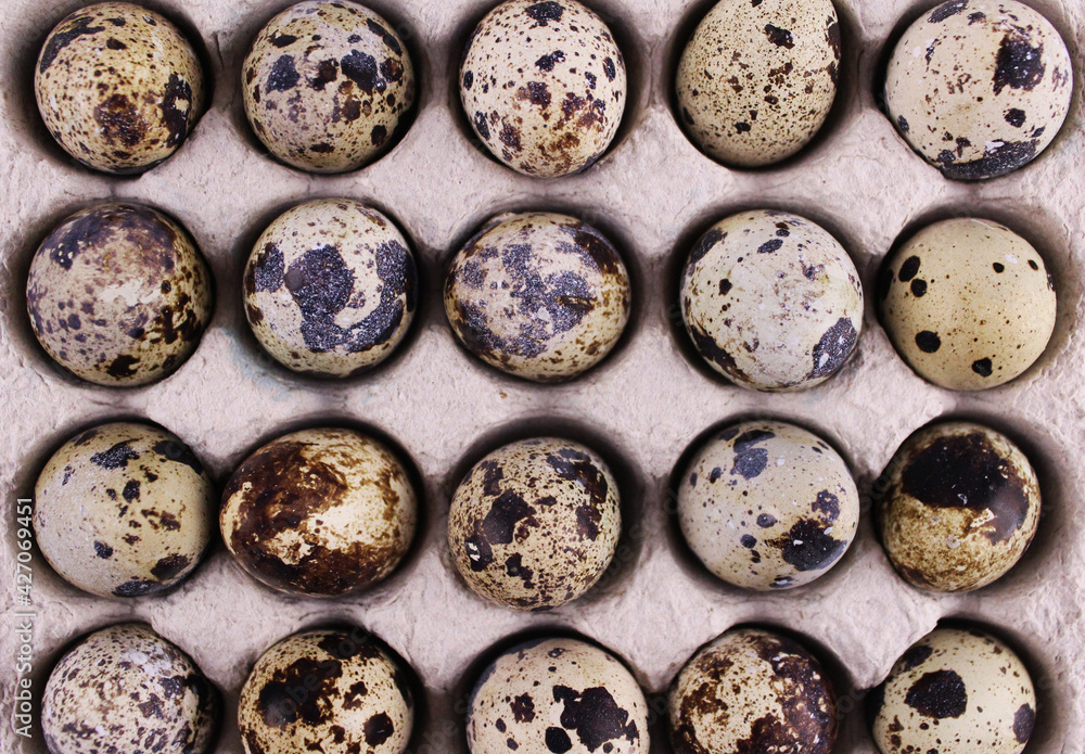 Quail eggs background. Quail eggs for easter Quail eggs background. Quail eggs for easter