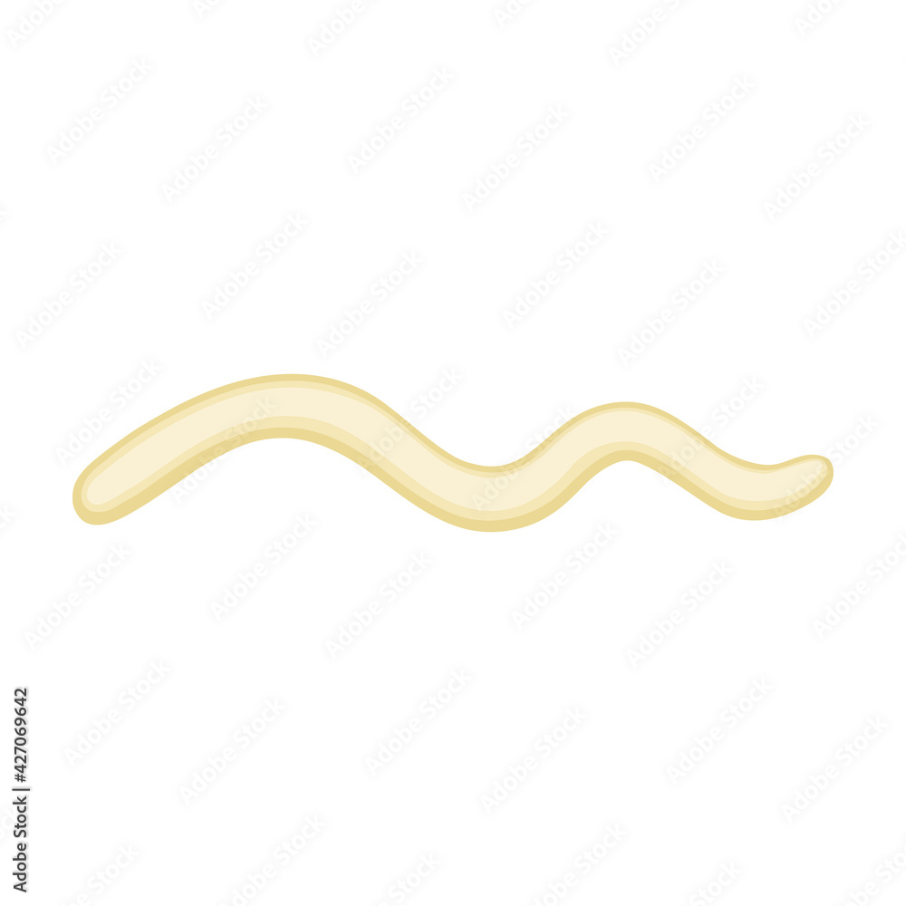 Sauce vector cartoon icon. Vector illustration seasoning on white background. Isolated cartoon illustration icon of sauce. Sauce vector cartoon icon. Vector illustration seasoning on white background. Isolated cartoon illustration icon of sauce.