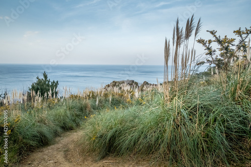 Rough and pure coastlines of the Atlantic