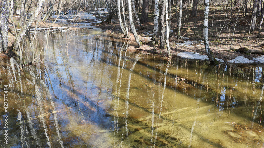 Spring flood - a small river overflowed from melting snow in the forest. Spring flood - a small river overflowed from melting snow in the forest.