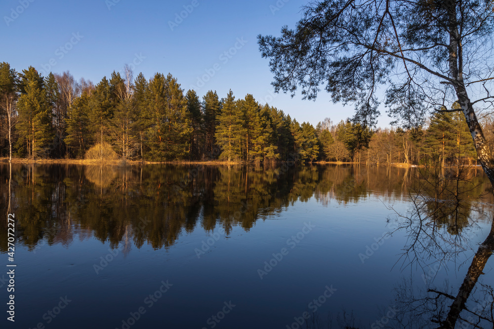 River flood in the foreground. Trees grow in the river. The blue sky and trees are reflected in the water.