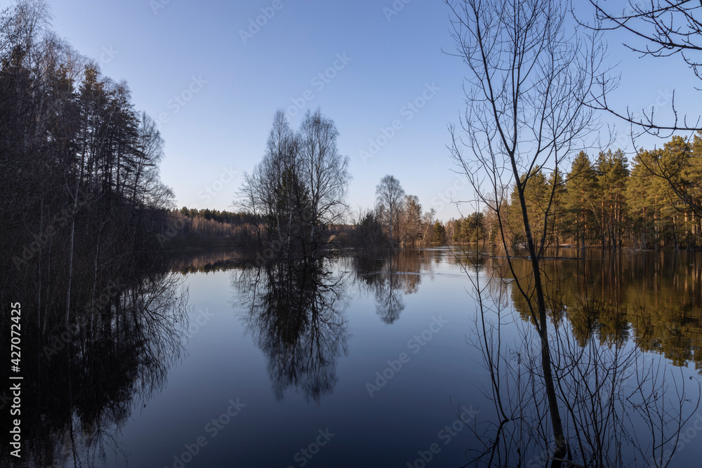 River flood in the foreground. Trees grow in the river. The blue sky and trees are reflected in the water.