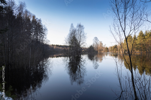 River flood in the foreground. Trees grow in the river. The blue sky and trees are reflected in the water.