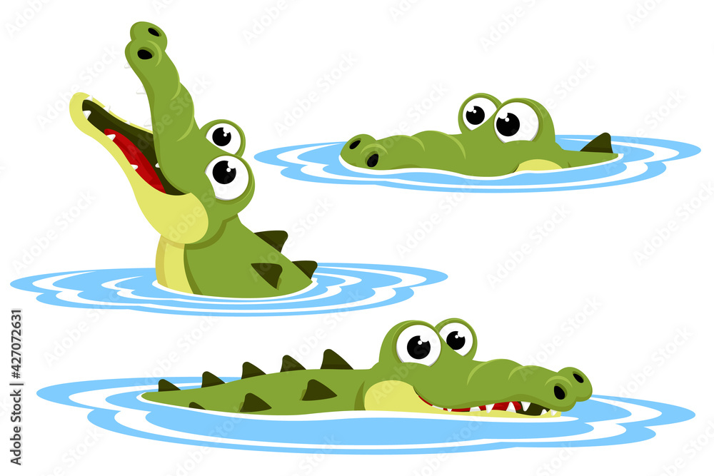 Set of crocodile in the water. The character