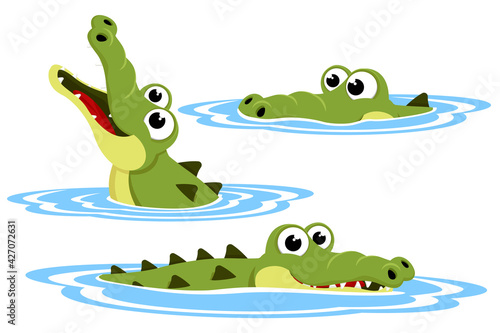 Foto Set of crocodile in the water. The character