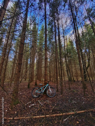 mountain bike in forest