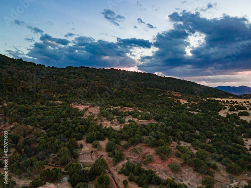 Paisaje aéreo de bosque con un cielo parcialmente nublado