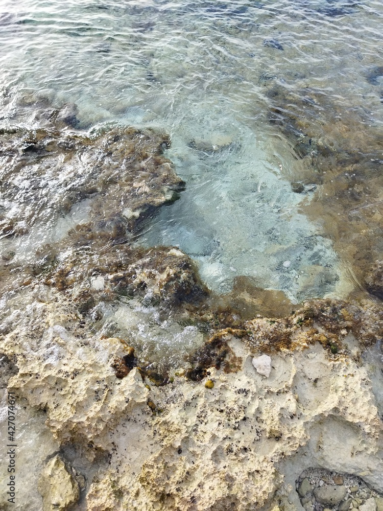 Obraz premium Cozumel de San Miguel, Quintana Roo México