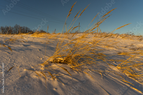 sand dunes in the snow © Evgenii Ryzhenkov