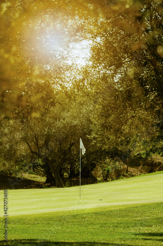 Sunny golf green with its flag and olive trees
