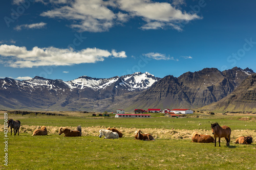 Iceland © jacek swiercz