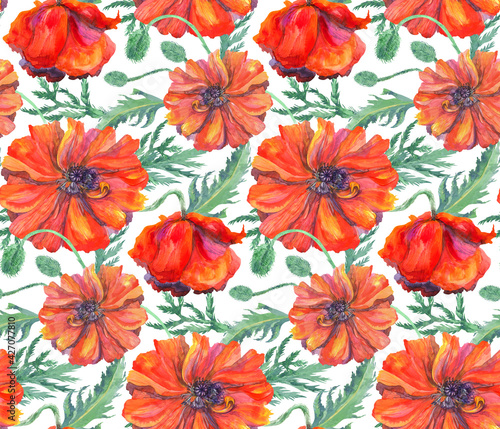 watercolor seamless pattern with red poppies on a white background for surface design and textiles as well as stationery